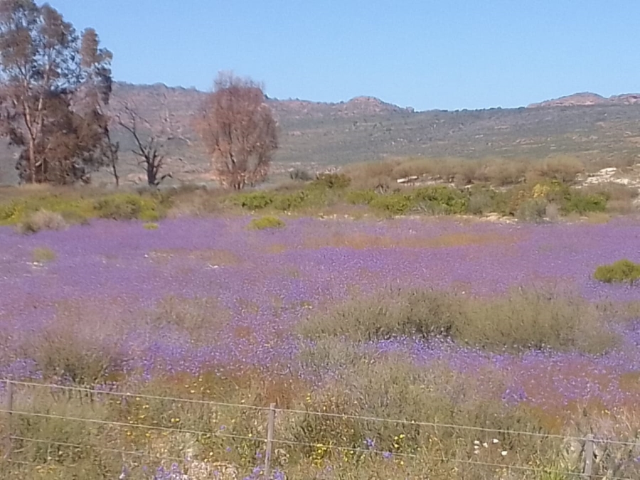 Commercial Property for Sale in Redelinghuys Western Cape